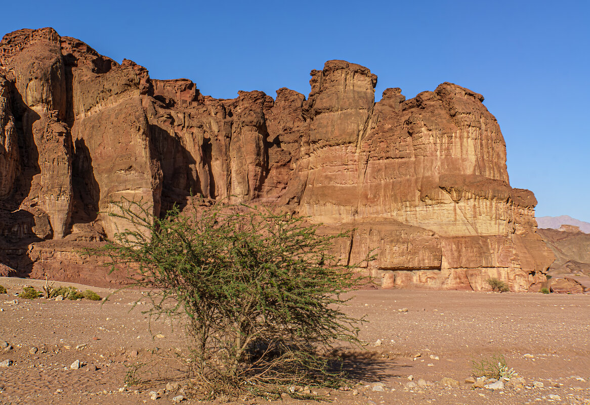Наследие неогена - Eugene *