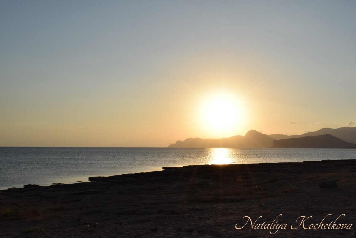 Природа Крыма - Amazing Cosmea Природа Крыма - Amazing Cosmea