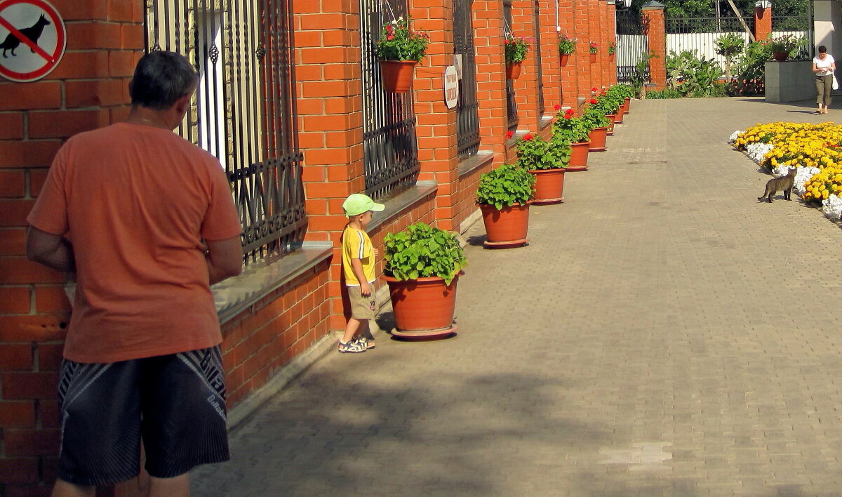 Как Олежка проводит слежку - Gen Vel Как Олежка проводит слежку - Gen Vel