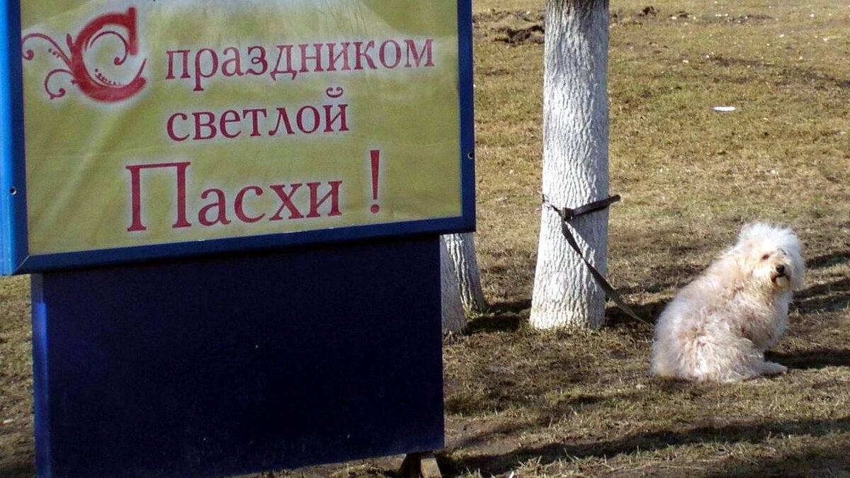 – Кому-то праздновать, а кому-то сидеть в ожидании с верёвкой на шее... - Михаил Андреев