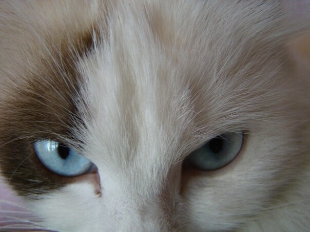 Взгляд... - Prizrak 777