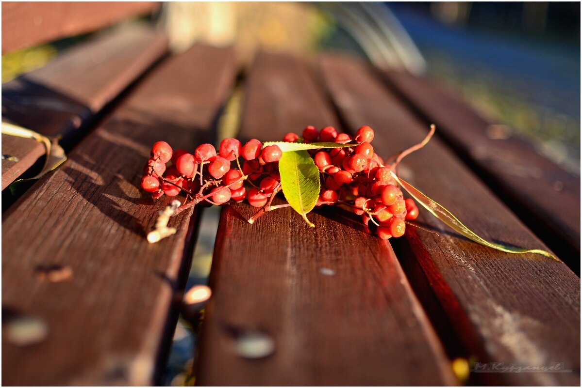Осень . - Михаил Курзанцев