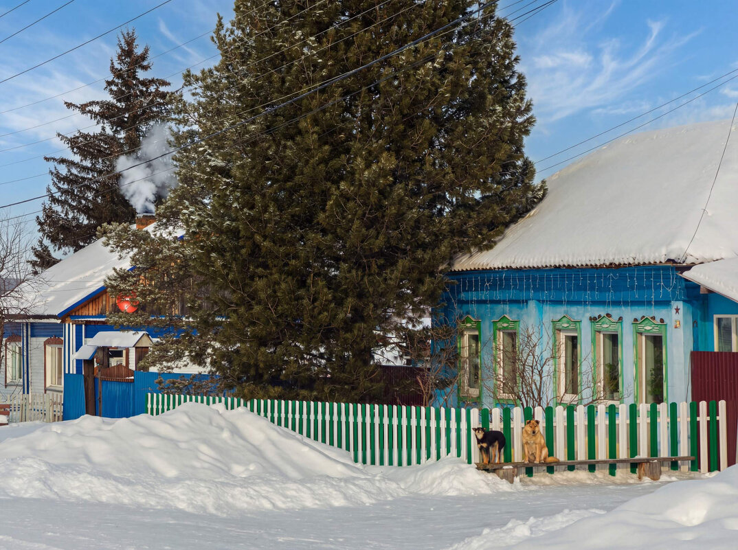 Как зимуешь сибирская глубинка... - Алексей Мезенцев