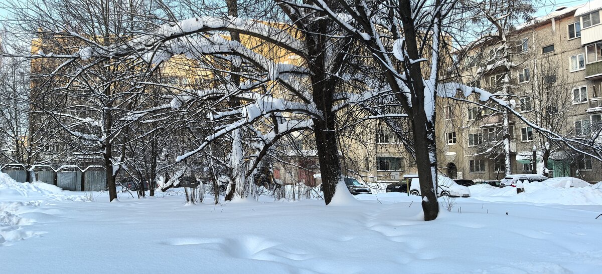 ***снежная целина во дворе*** - Olga Oskolkova