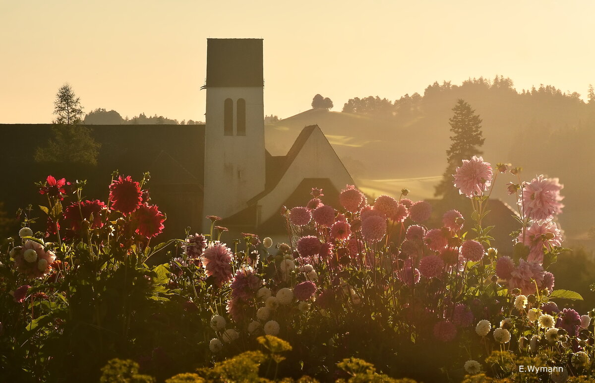 morning - Elena Wymann