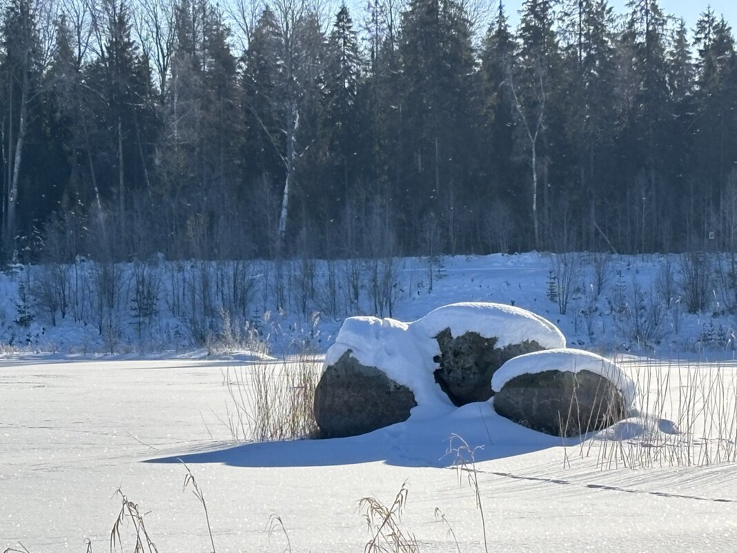 Три толстяка - Ольга Савельева 