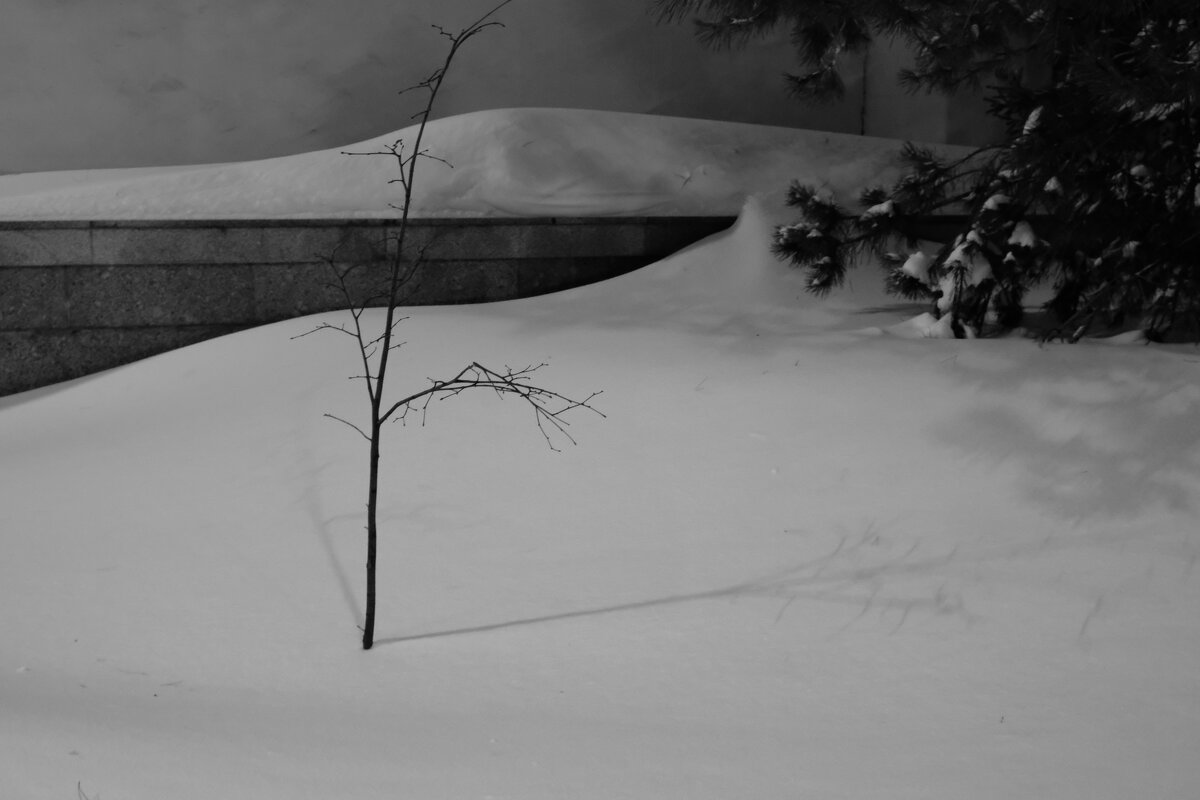 Одно - Сергей Матвеенко