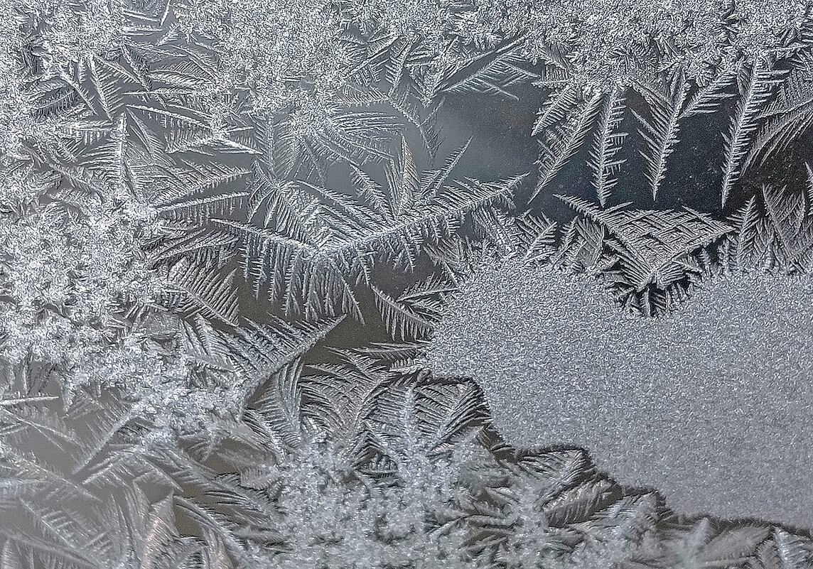 Дед Мороз нарисовал! - Валентина  Нефёдова 