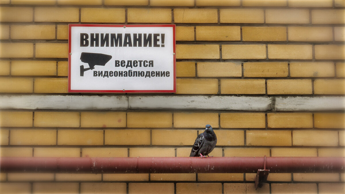 O_0 - AZ east3 O_0 - AZ east3