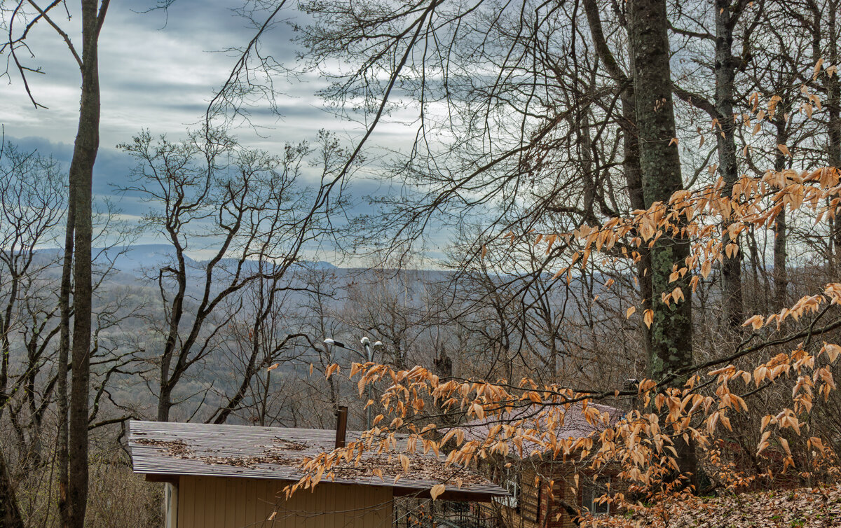 В горах в лесу - Игорь Сикорский В горах в лесу - Игорь Сикорский
