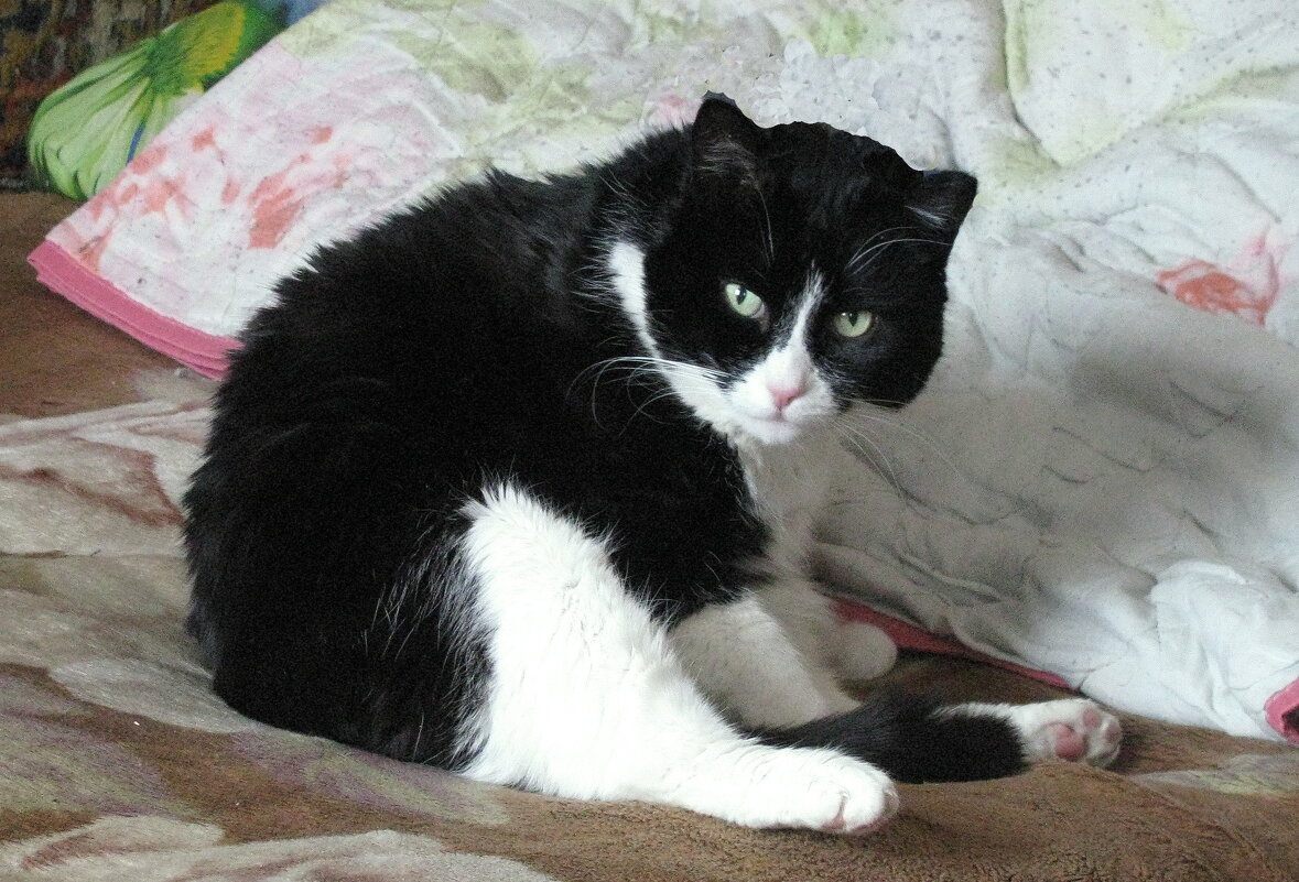 Не мешай мне мыться - Людмила Смородинская Не мешай мне мыться - Людмила Смородинская