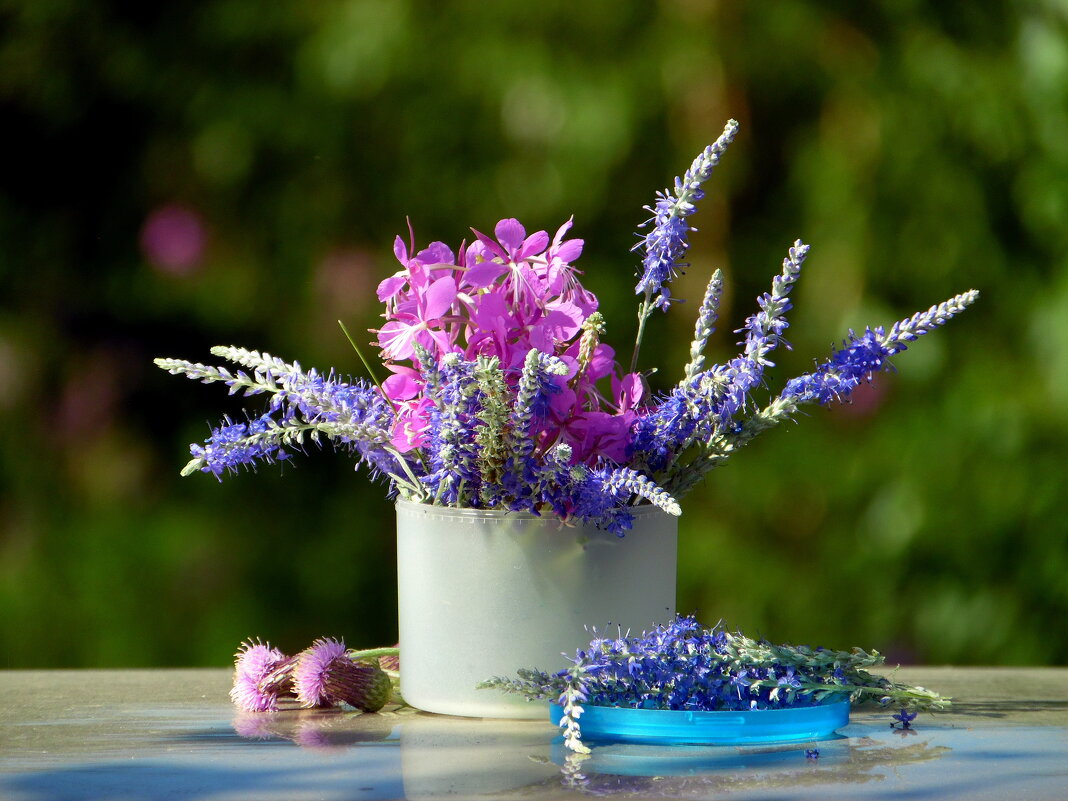 Полевые цветы. - nadyasilyuk Вознюк