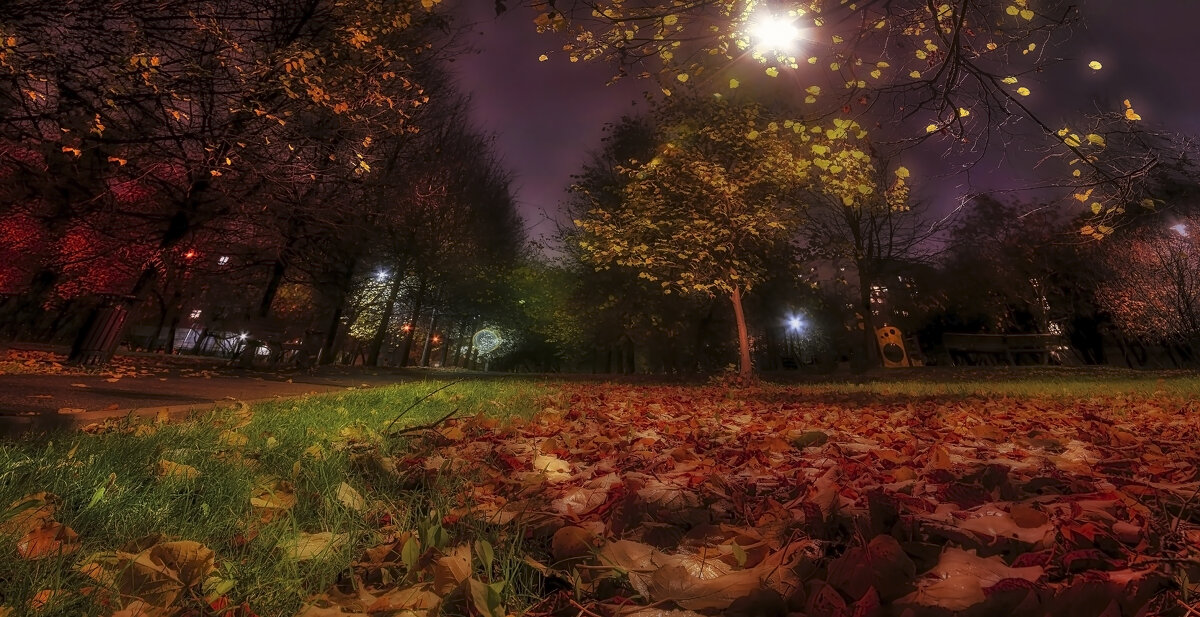 На бульваре. - Владимир Владимир