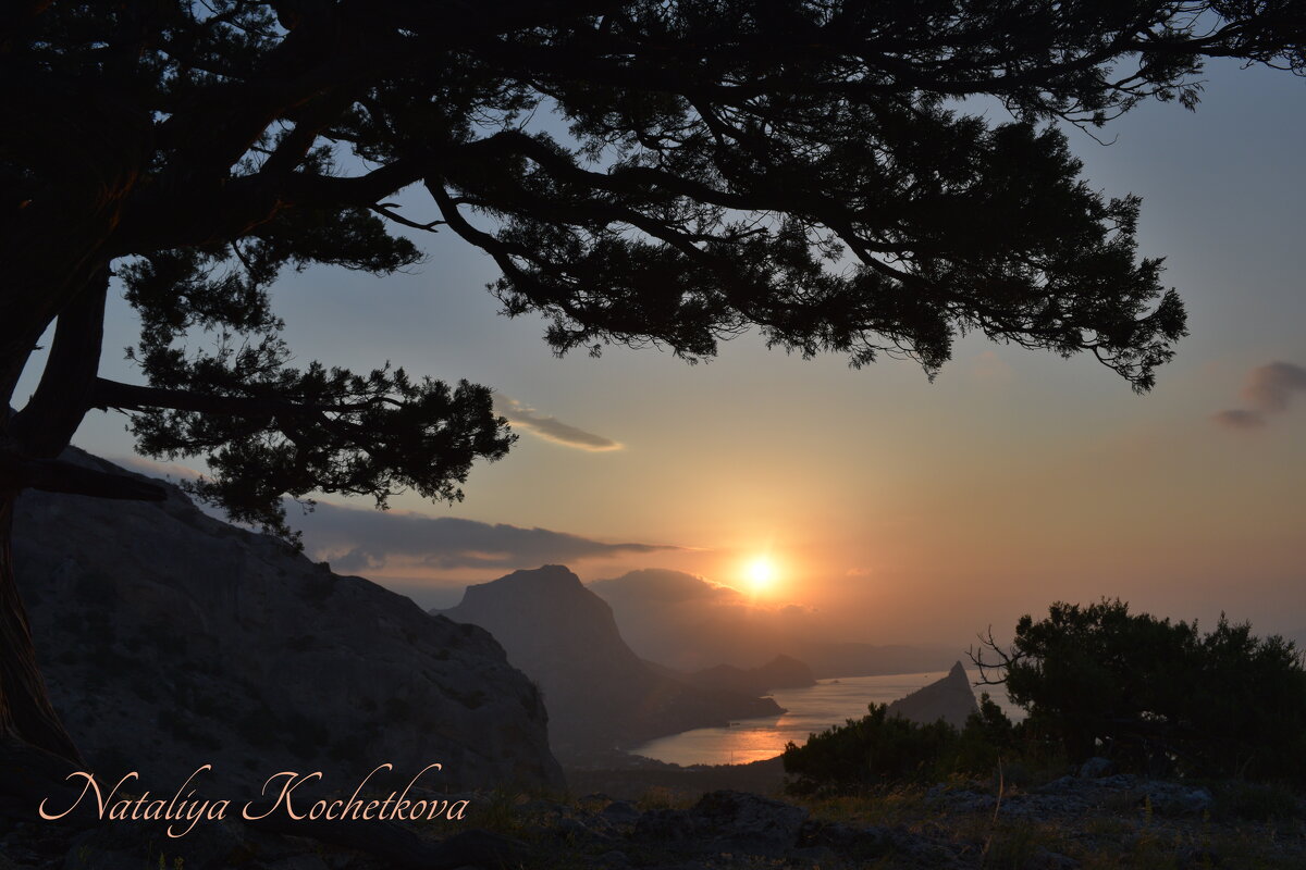 Природа Крыма - Amazing Cosmea