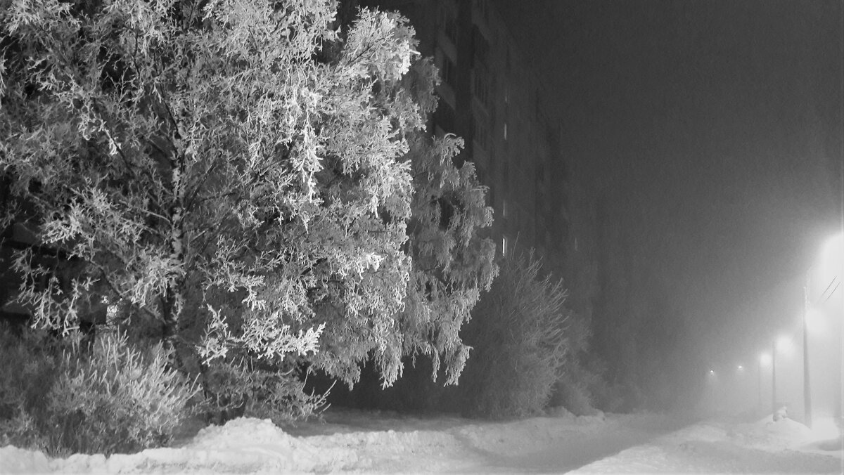 ТУМАН - Виктор Никитенко