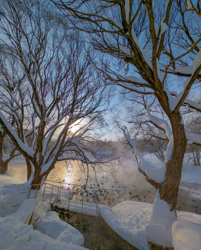 Прогулка в зимний день - Анастасия Логинова Прогулка в зимний день - Анастасия Логинова