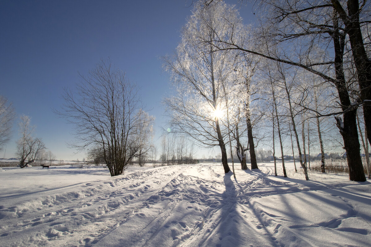 Б/Н - Николай 