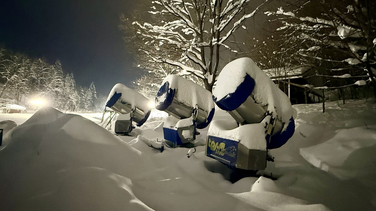 «ГорноЛыжные исполины» - Арина Невская