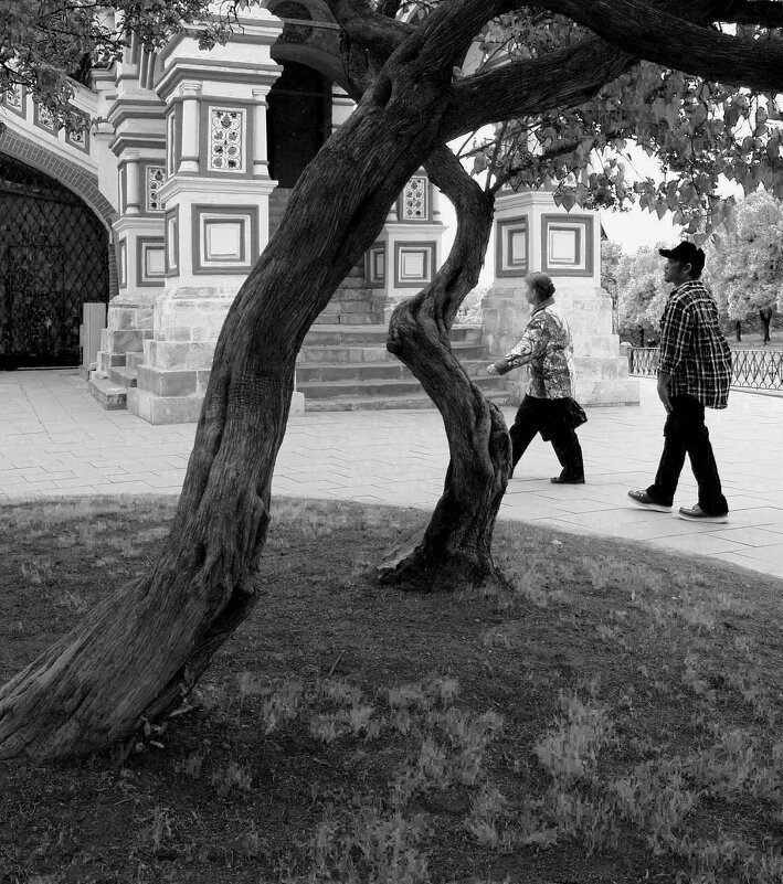 *** - Сергей Золотавин