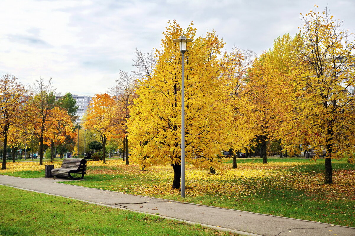 Осенняя зарисовка - Юрий Шувалов