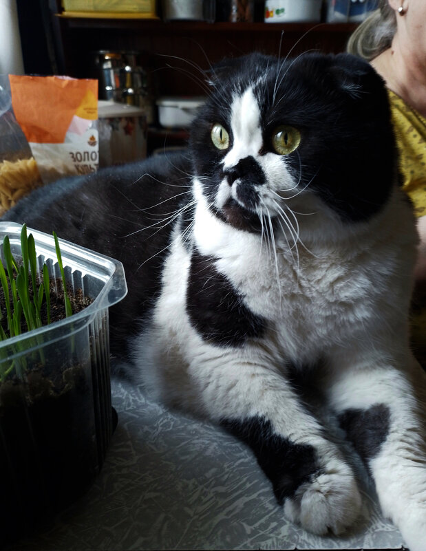 *** - Валентина Береснева *** - Валентина Береснева