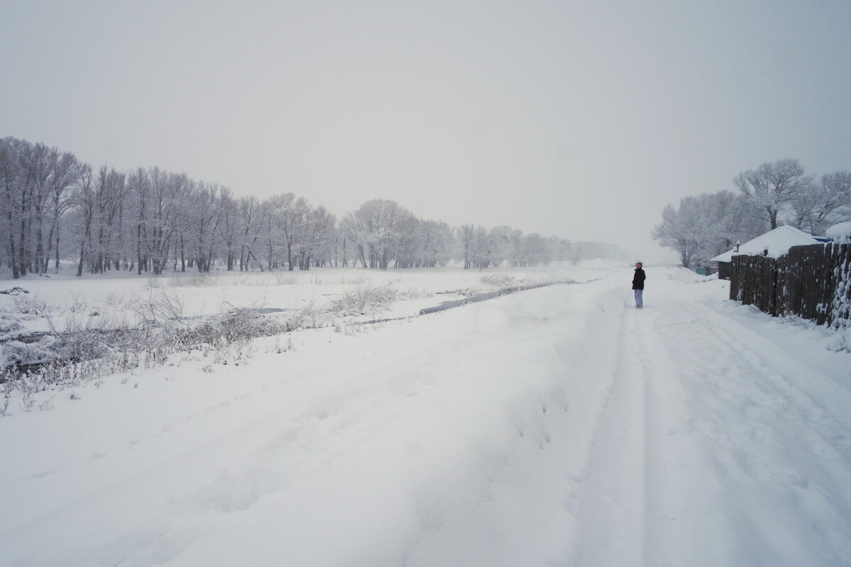 - - Aндрей Антонов