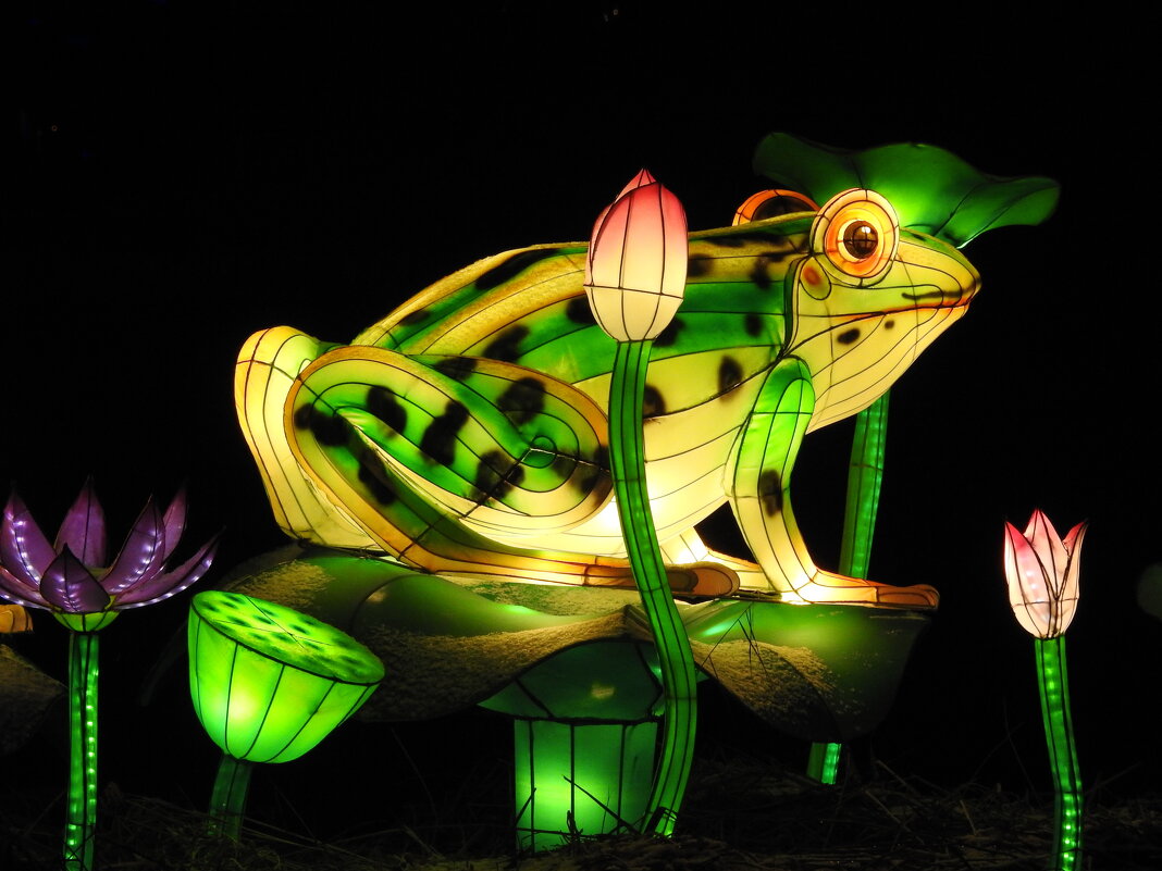 Китайский Новый год - ИННА ПОРОХОВА Китайский Новый год - ИННА ПОРОХОВА