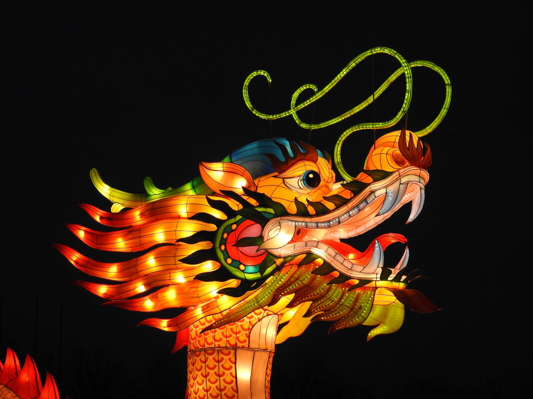 Китайский Новый год - ИННА ПОРОХОВА Китайский Новый год - ИННА ПОРОХОВА