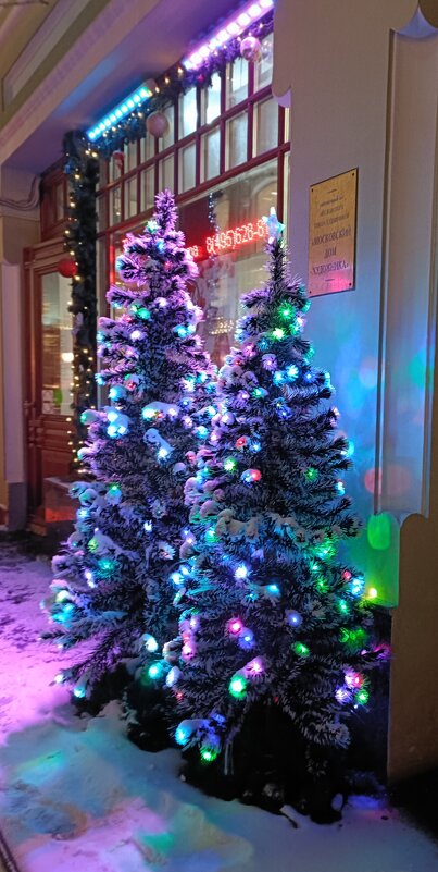 новогодние дни - Галина R...