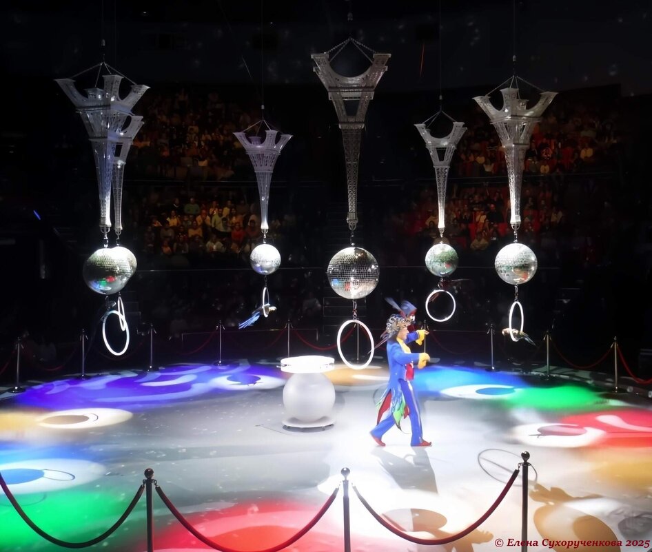 Цирковое представление - Елена Сухорученкова