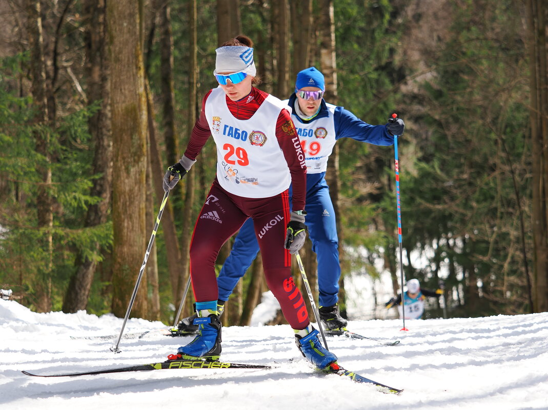 Из лыжных гонок. - Евгений Седов Из лыжных гонок. - Евгений Седов