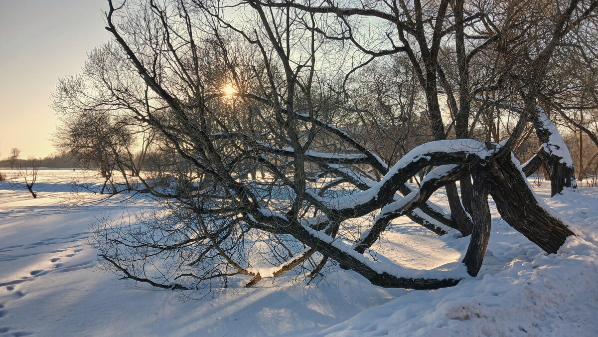 Петергоф. Ольгин пруд - Наталья Герасимова Петергоф. Ольгин пруд - Наталья Герасимова