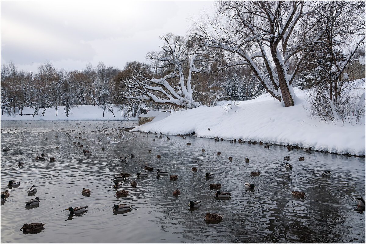 В городском парке - Валентин Котляров