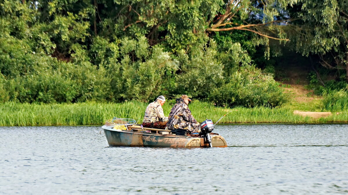 Ловим лещей - Валерий Судачок