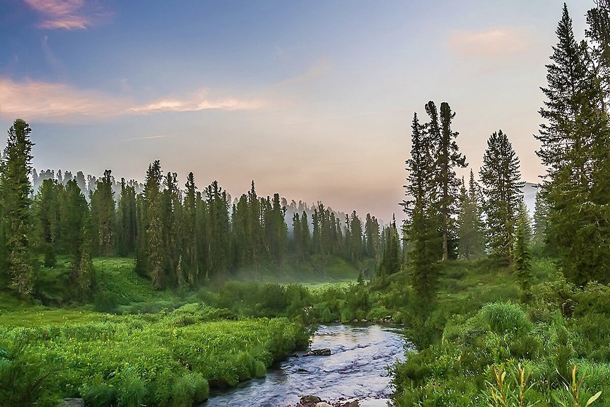 Горная тайга ранним утром - Владимир Кириченко Горная тайга ранним утром - Владимир Кириченко