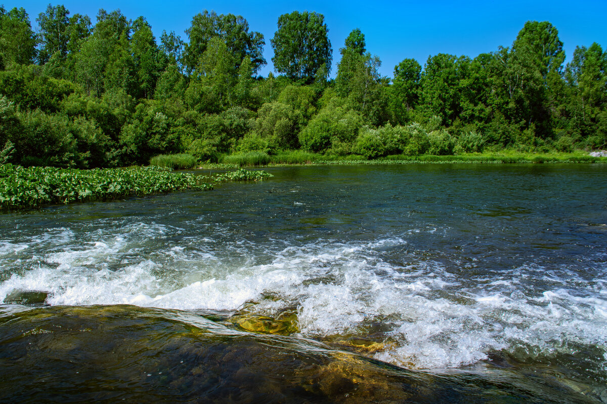 РЕКИ - Владимир Мигонькин РЕКИ - Владимир Мигонькин