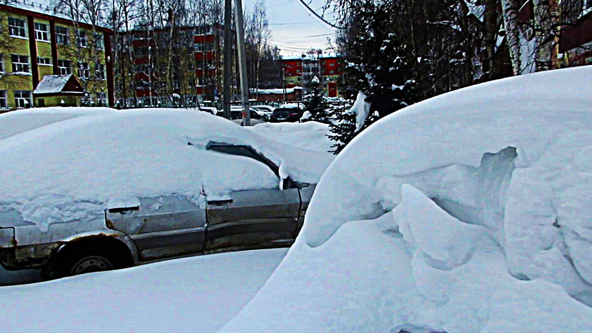 Февраль...Машины- сугробы! - Владимир 