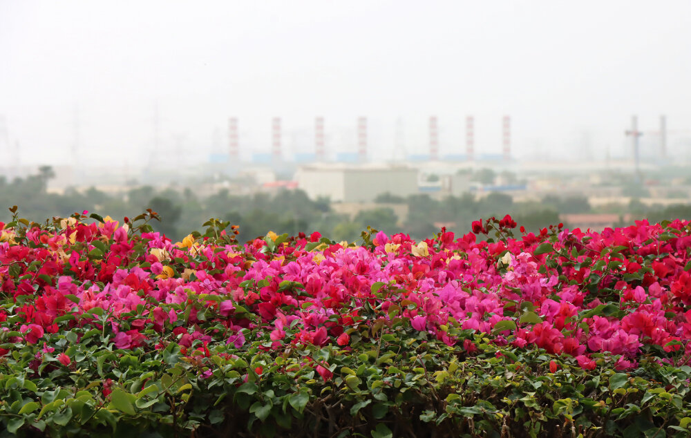 Яркое на сером... - Галина Ильясова