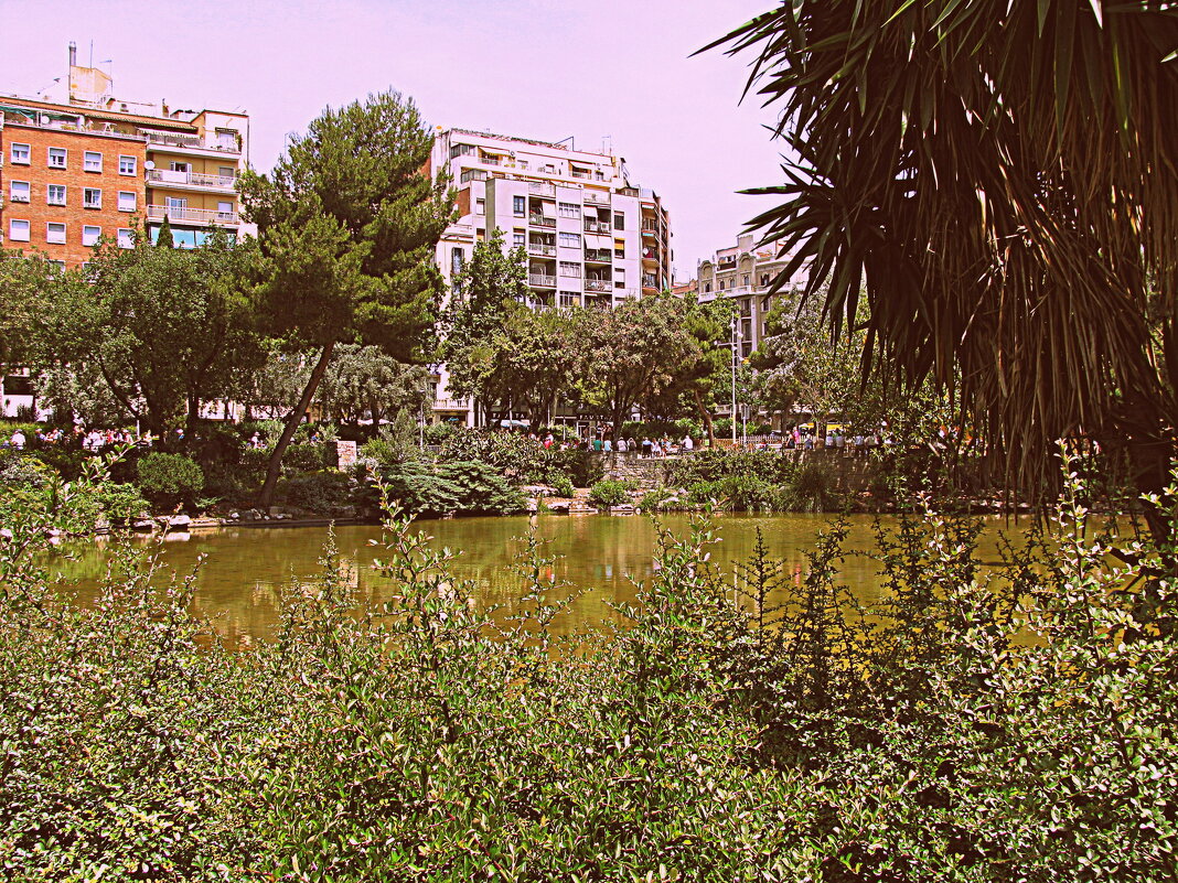 Барселона. - Владимир Драгунский