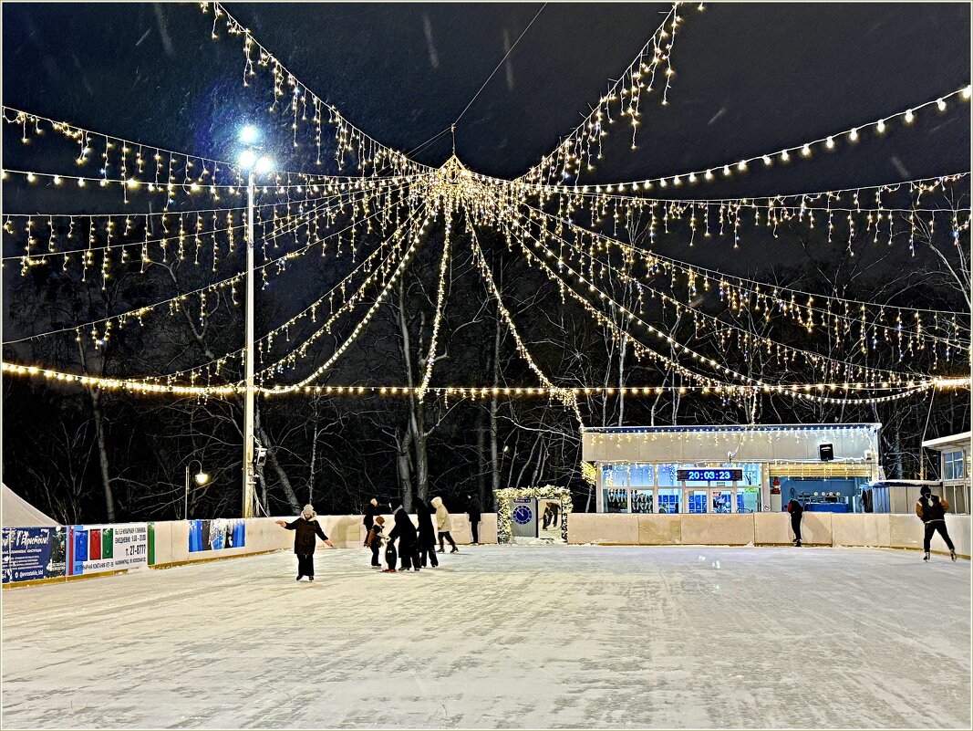 В парке на катке. - Валерия Комова В парке на катке. - Валерия Комова