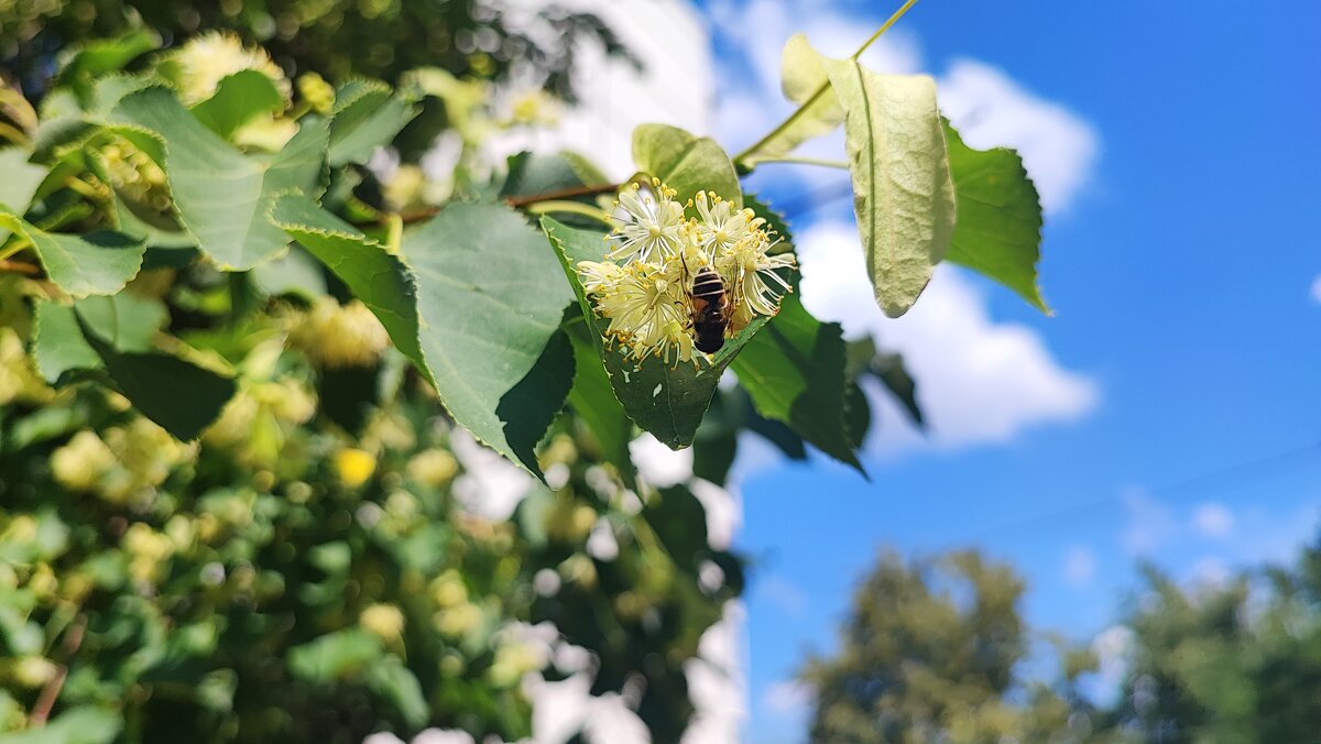 ,,, - Сергей Тимоновский ,,, - Сергей Тимоновский