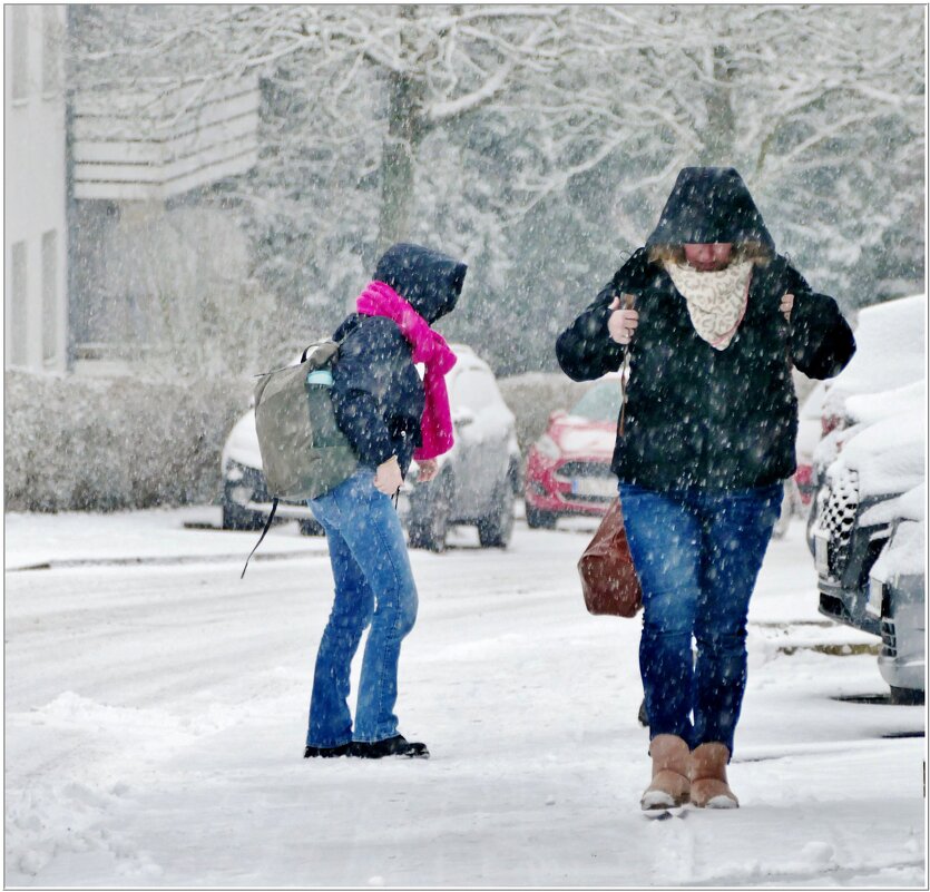 СНЕГОПАД... - Elvira E. 