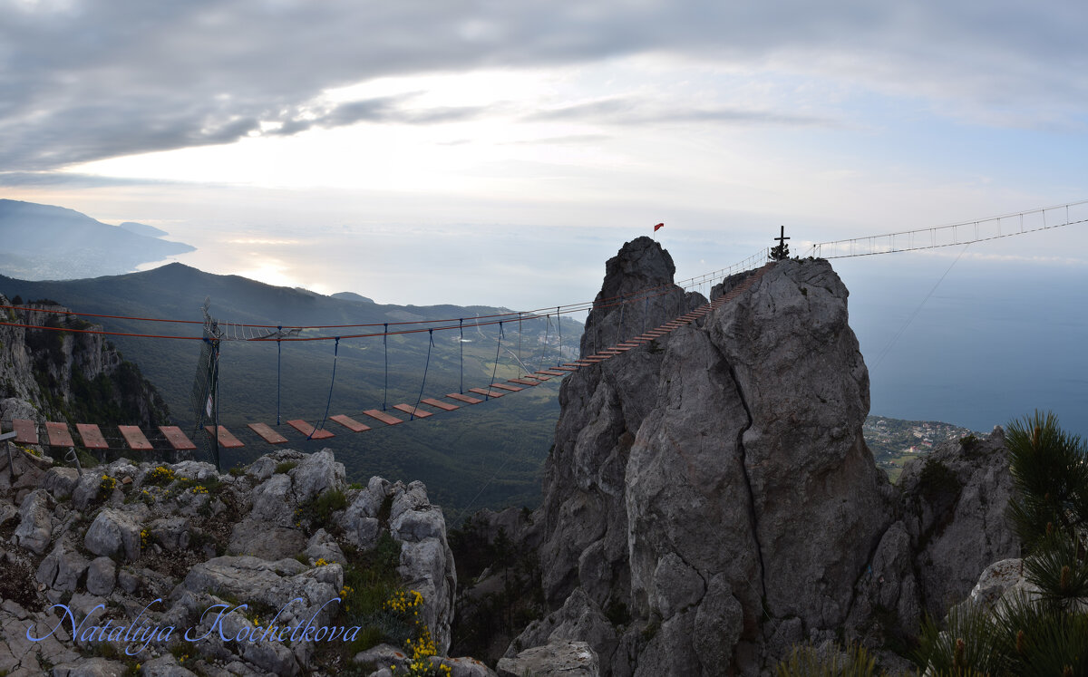 Природа Крыма - Amazing Cosmea
