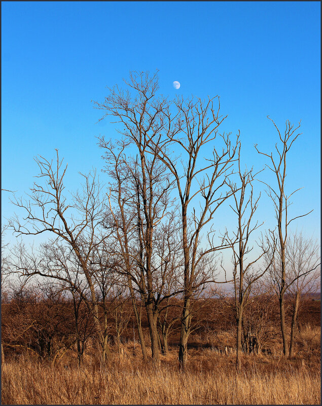 *** - Александр. AVG100 ---