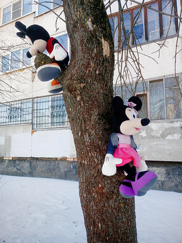 ** - Сергей Кочнев