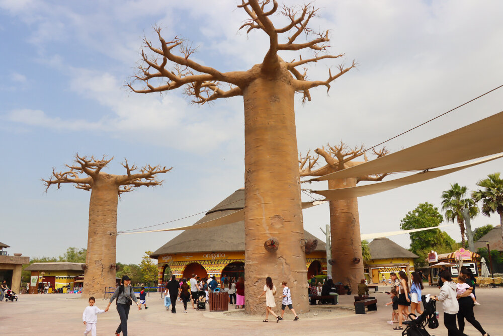 В сафари-парке - Галина Ильясова В сафари-парке - Галина Ильясова