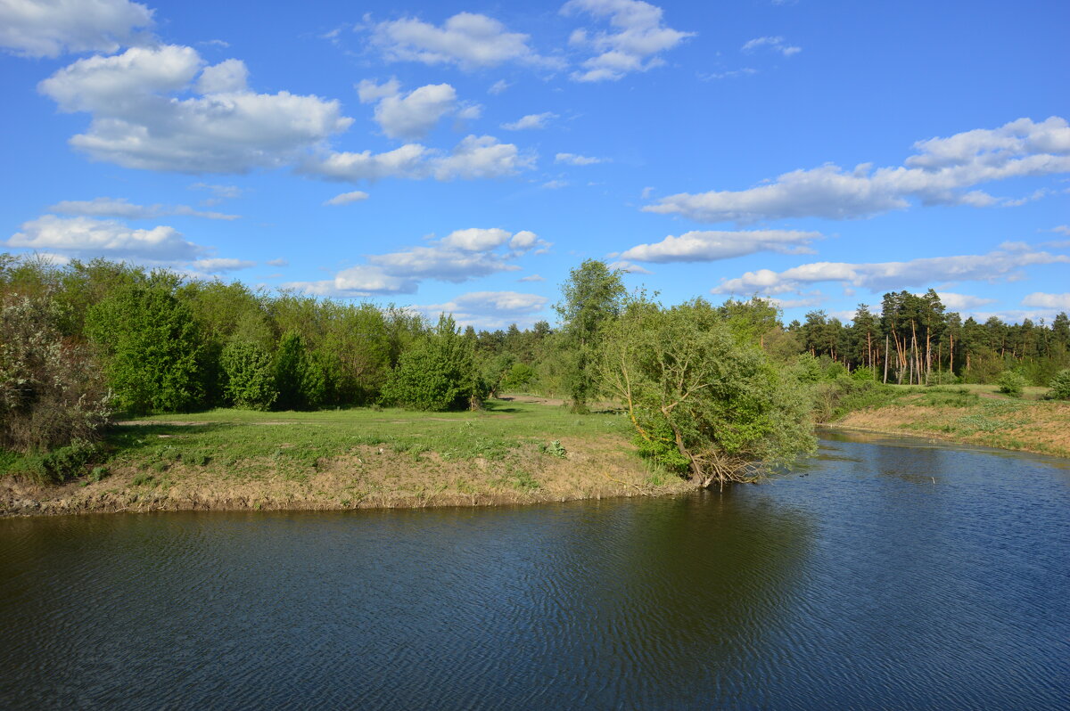 Местная река. - Виктор 