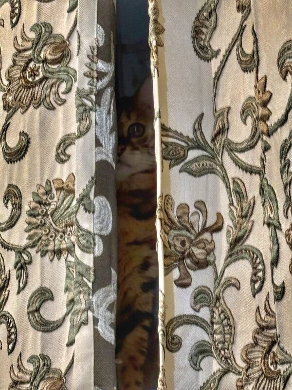 Спрятался - Irene Irene