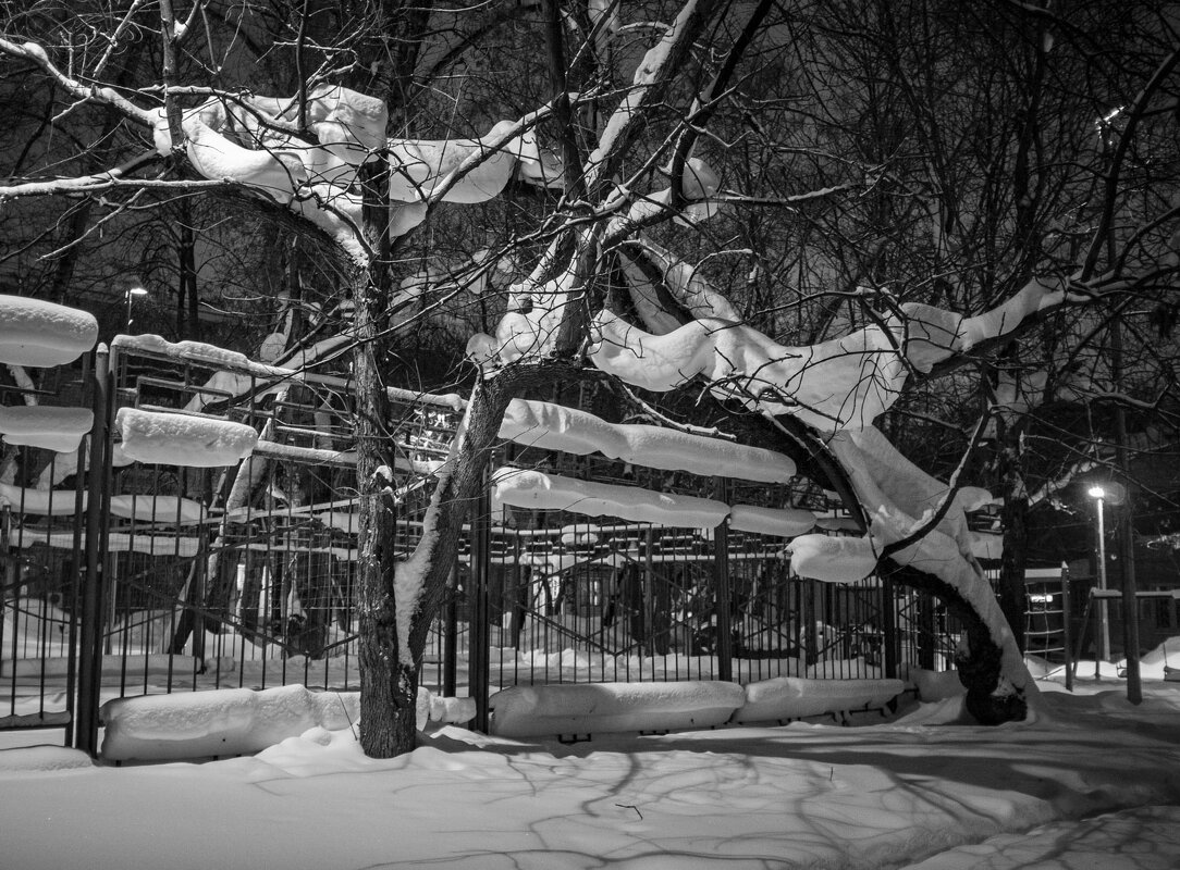 Снег на ограде и деревьях. - Николай Галкин Снег на ограде и деревьях. - Николай Галкин