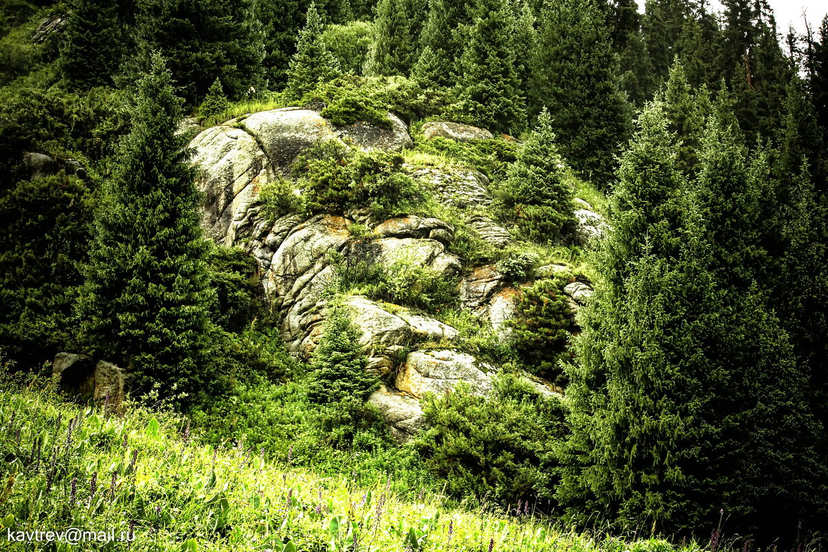 QQ - HART BAD QQ - HART BAD